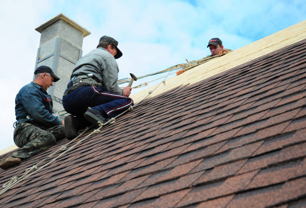 Quick and Trustworthy Emergency Roof Repair Services in Pine Grove, CA